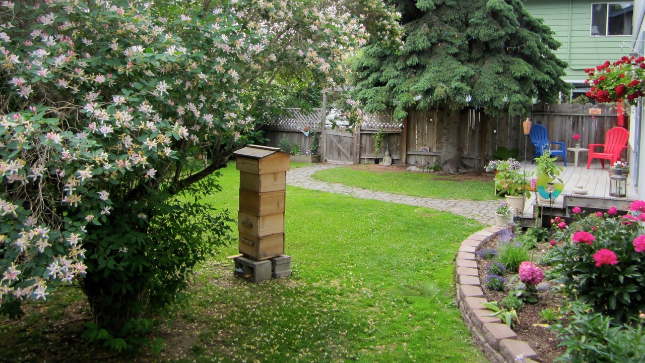 Photo of Outdoor in North Star