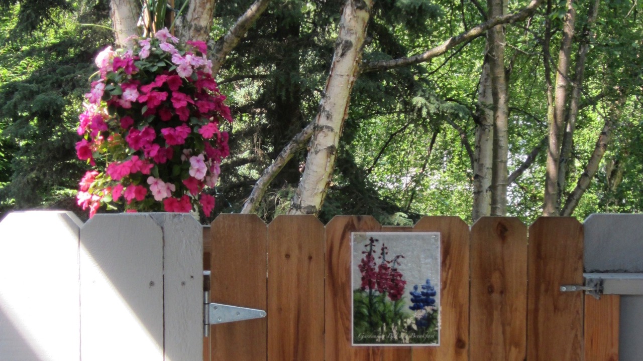 Photo of Others in North Star