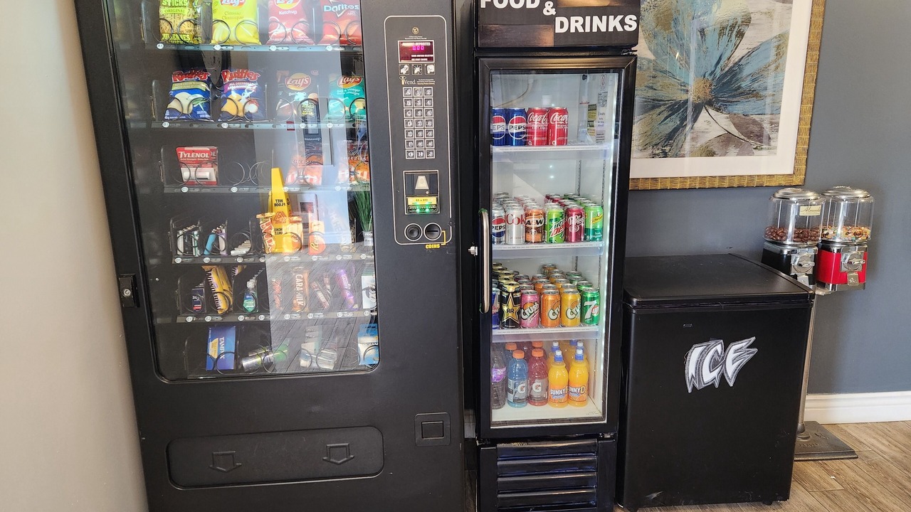 Photo of Others in Conception Bay South