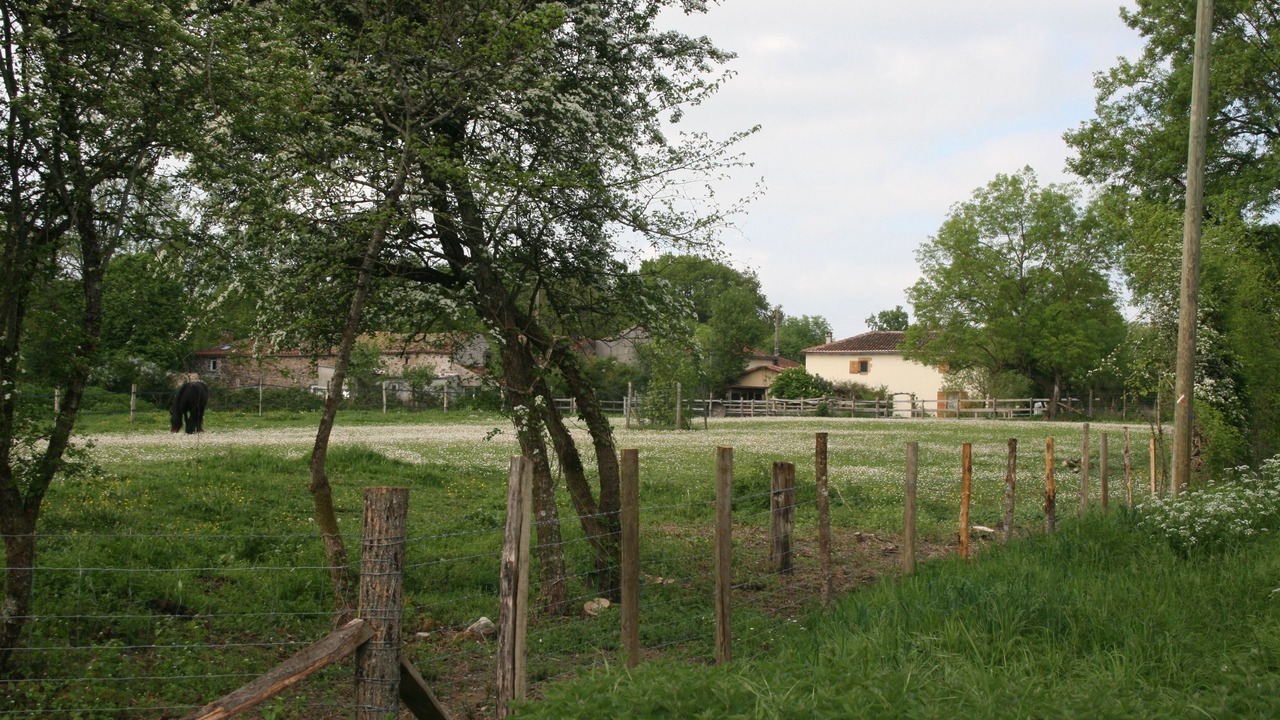 Photo of Others in Charente Limousine