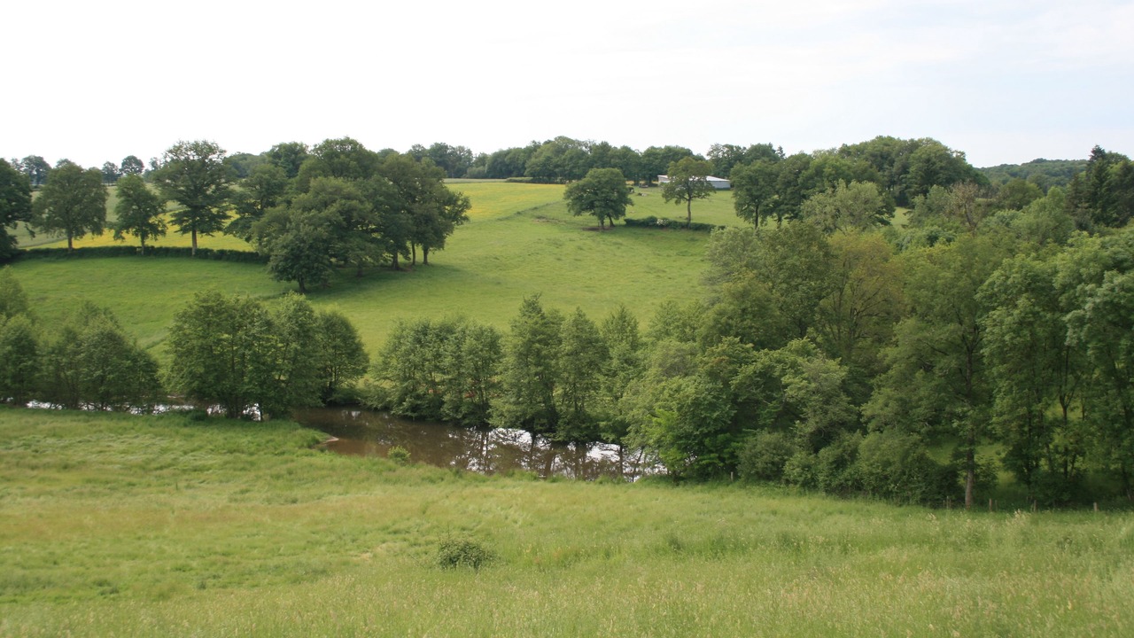 Photo of Others in Charente Limousine