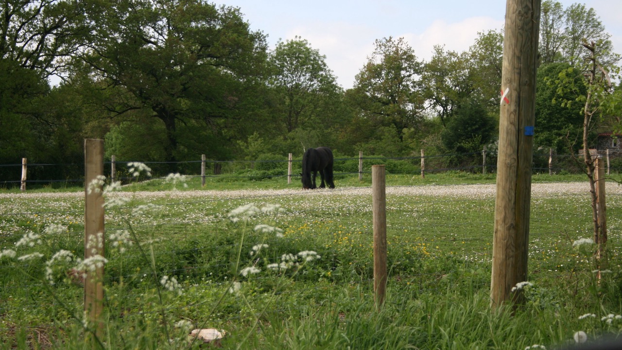 Photo of Others in Charente Limousine