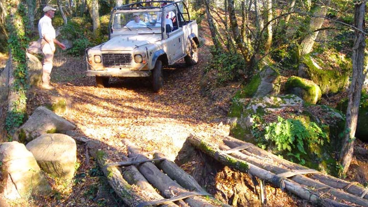 Photo of Others in Charente Limousine