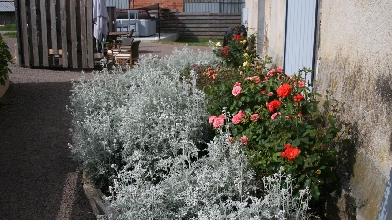 Photo of Others in Charente Limousine
