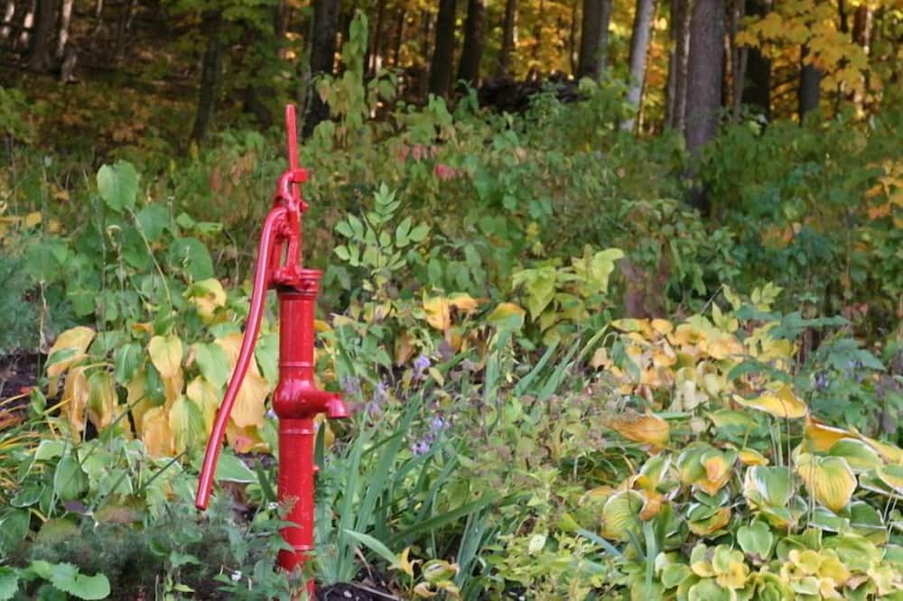 Photo of Outdoor in Sherrill