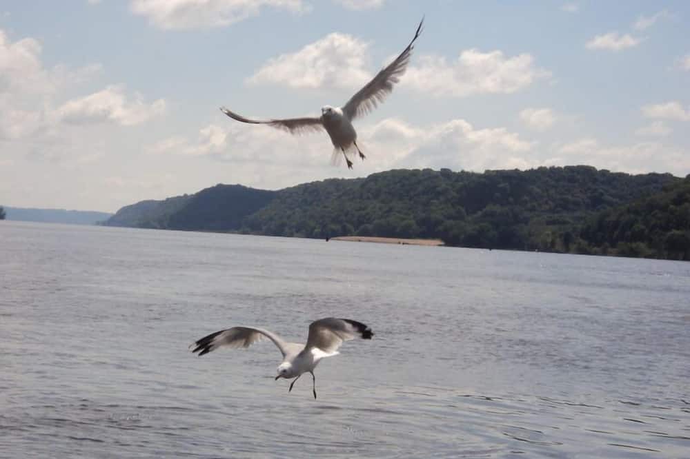 Photo of Others in Sherrill