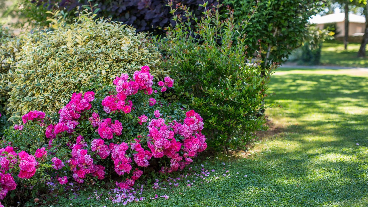 Photo of Outdoor in Blanquefort-sur-Briolance