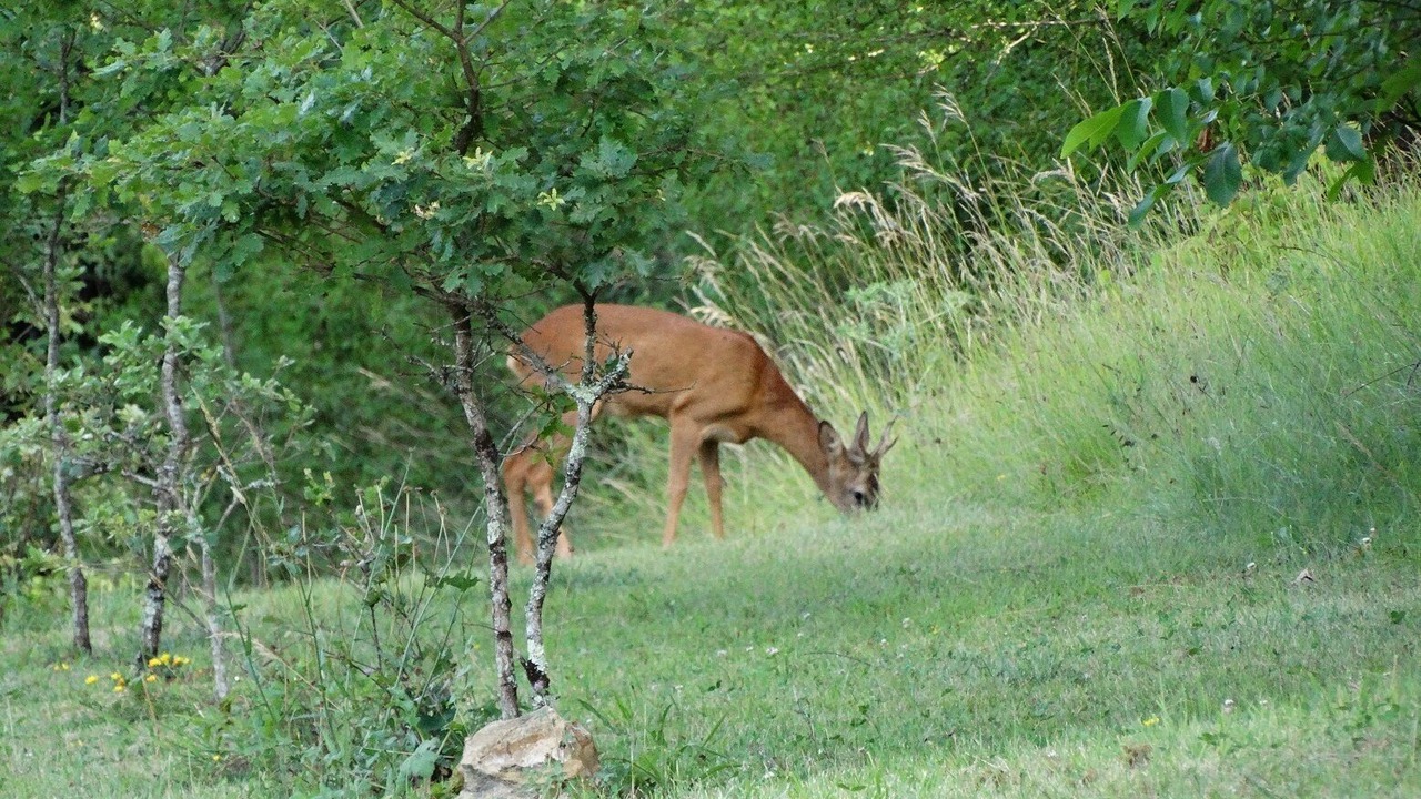 Photo of Others in Le Buisson-de-Cadouin