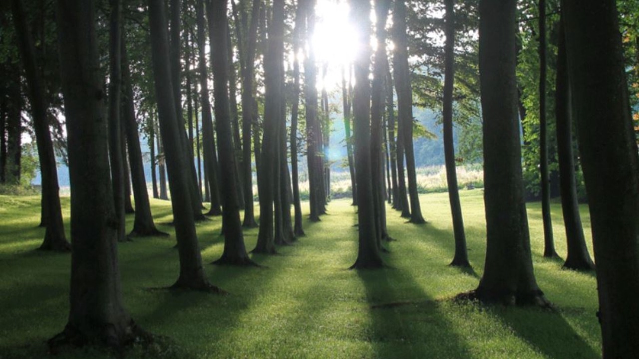 Photo of Outdoor in Rancennes