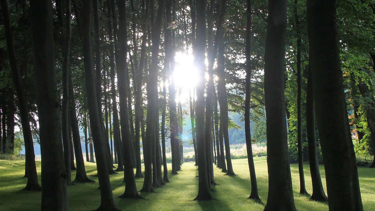 Photo of Outdoor in Rancennes