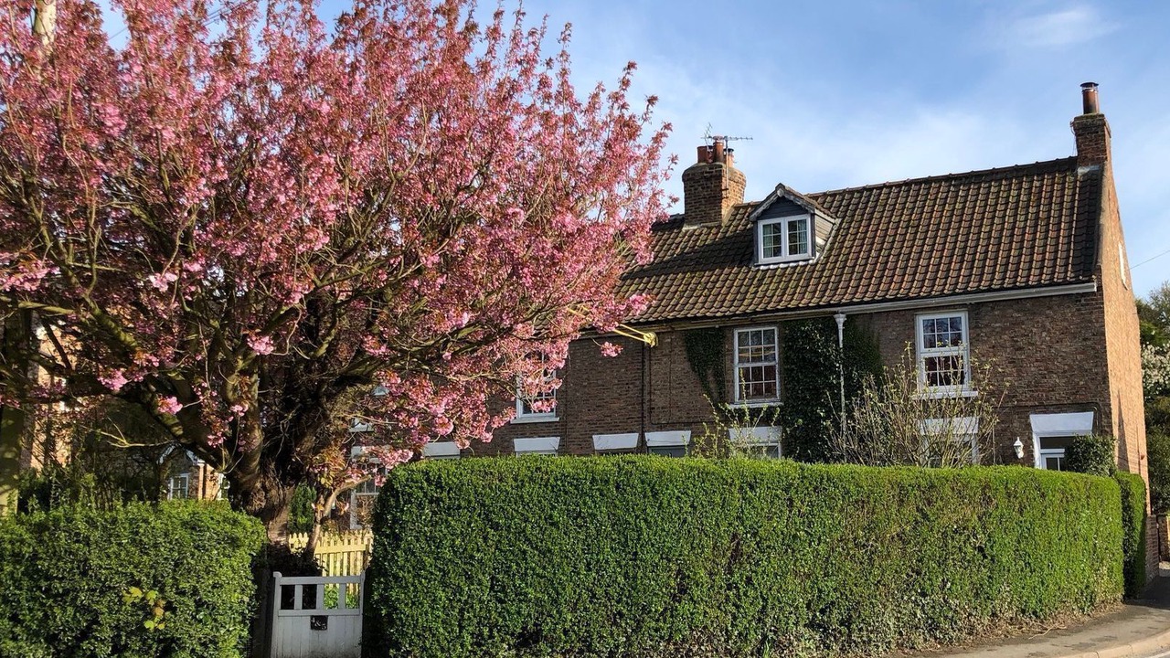 Photo of Outdoor in Alne