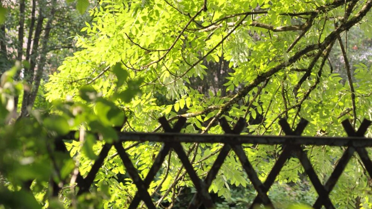Photo of Outdoor in Ronchamp