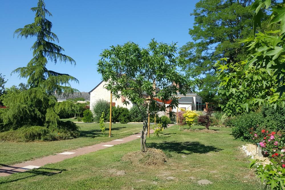 Photo of Outdoor in La Chapelle-aux-Choux