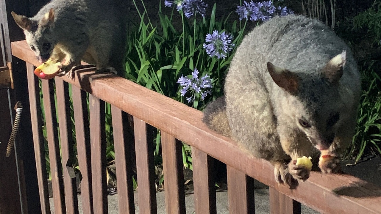 Photo of Others in Bandon Grove