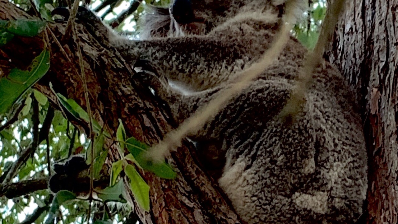 Photo of Others in Bandon Grove