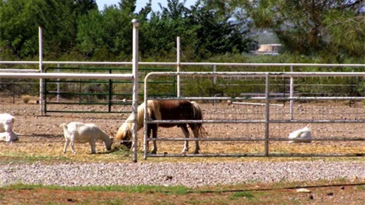 Photo of Outdoor in Boles Acres