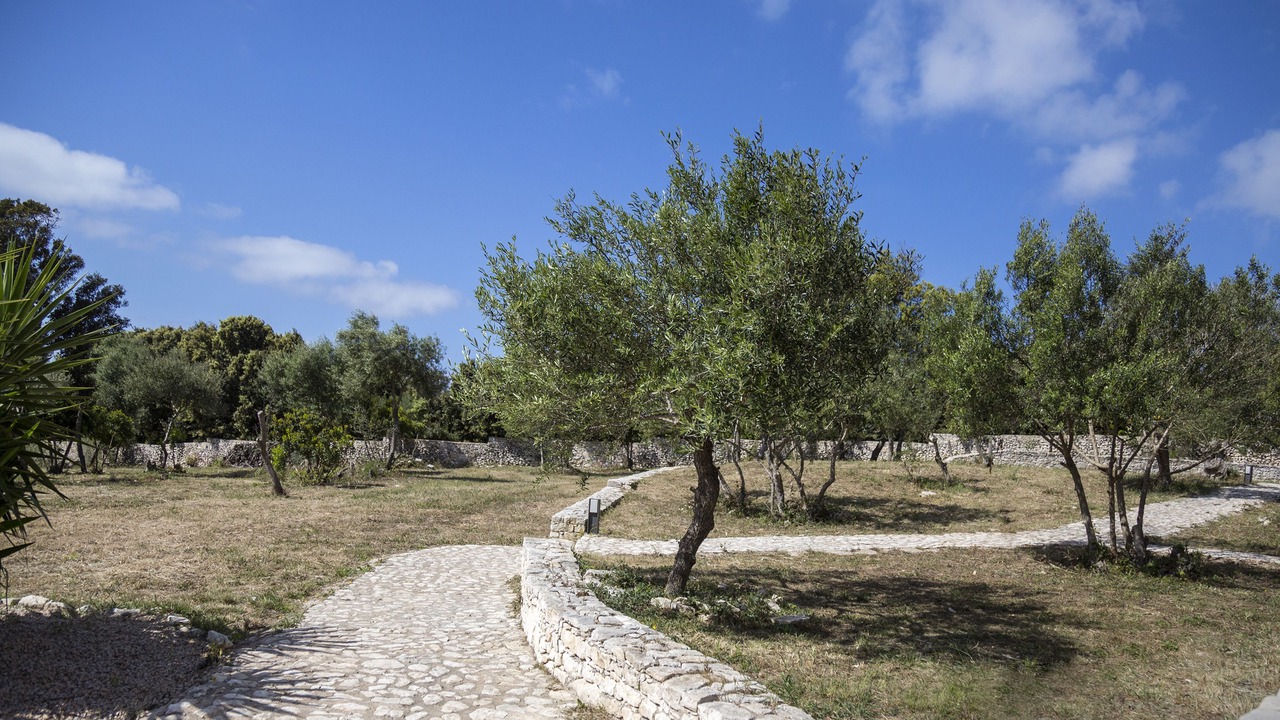 Photo of Others in Bonifacio