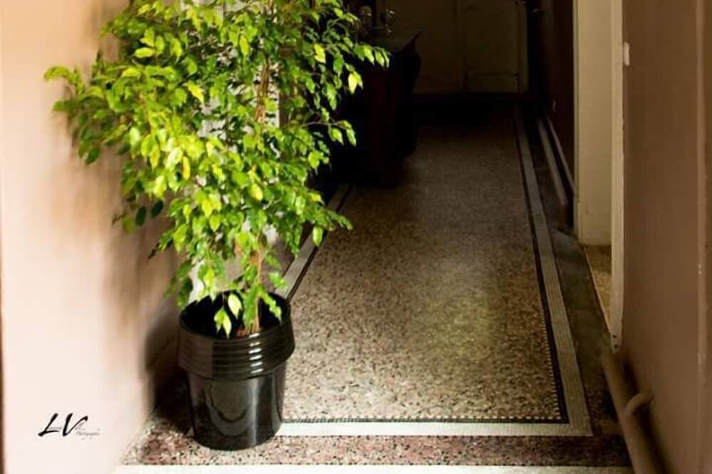 Photo of Others in Bernis