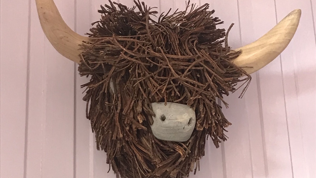 Photo of Others in Saint Catherines