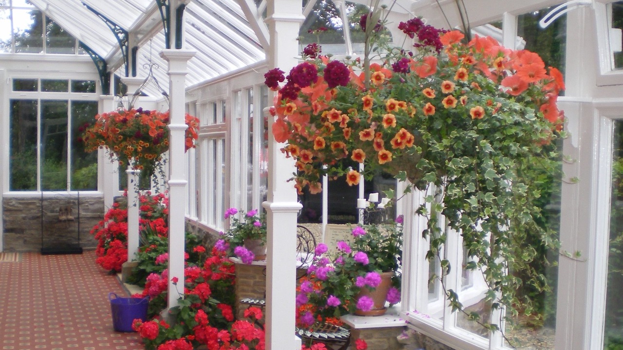 Photo of Outdoor in Warkworth