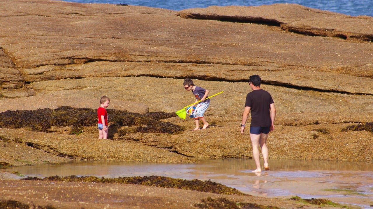 Photo of Others in Lannion