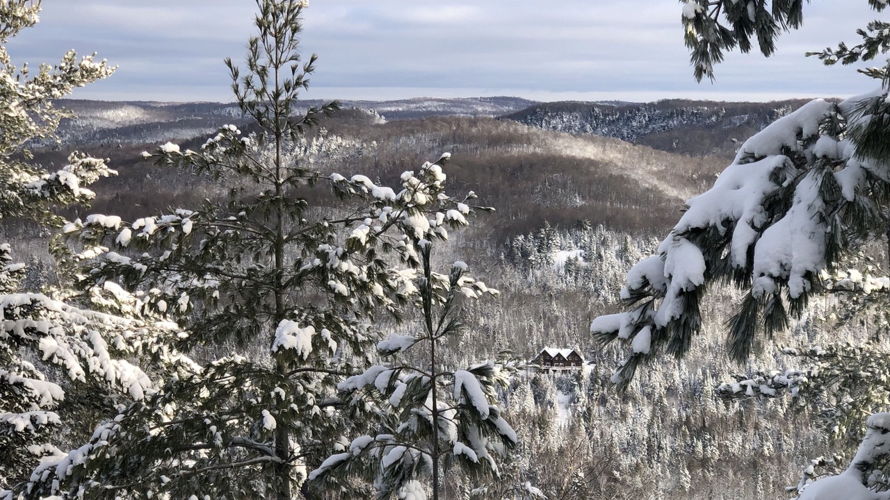 Photo of Outdoor in Harrington