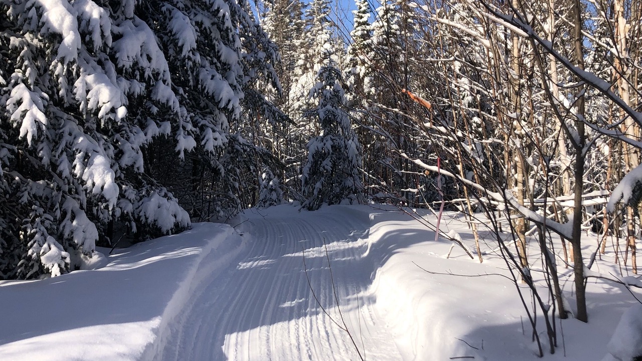 Photo of Outdoor in Harrington