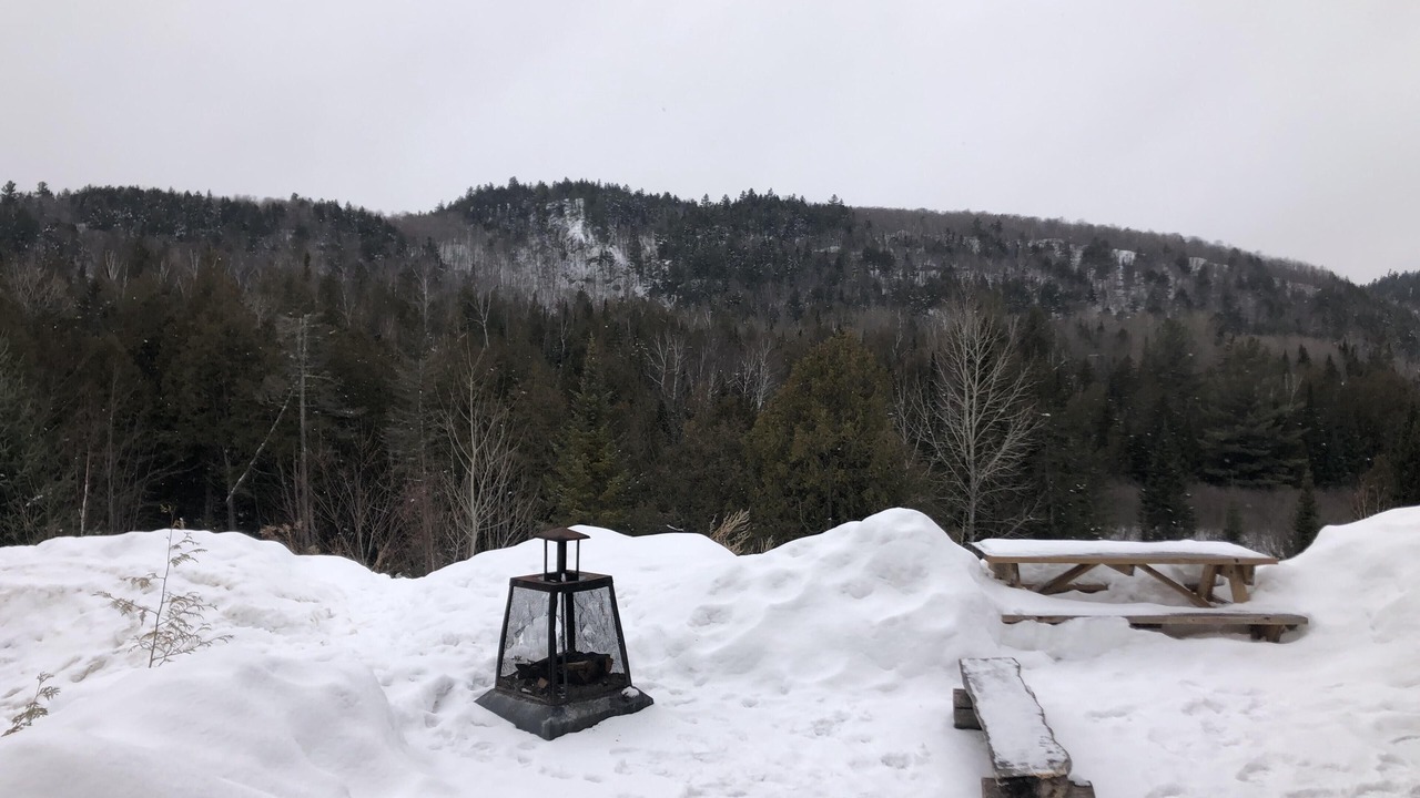 Photo of Outdoor in Harrington