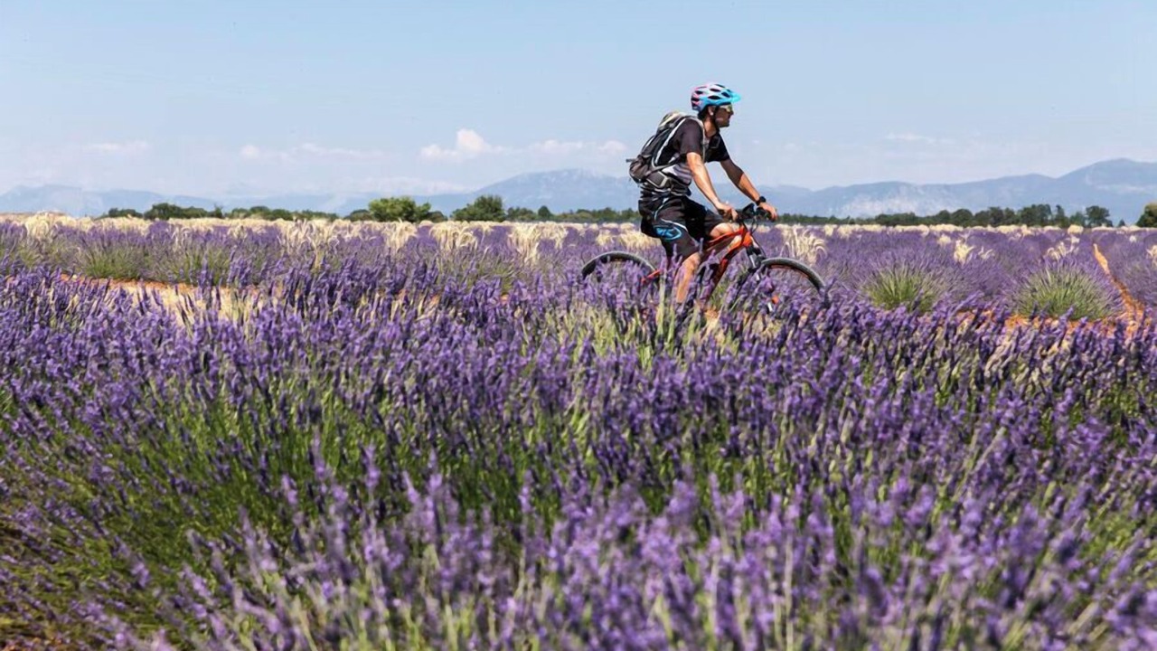 Photo of Outdoor in Manosque