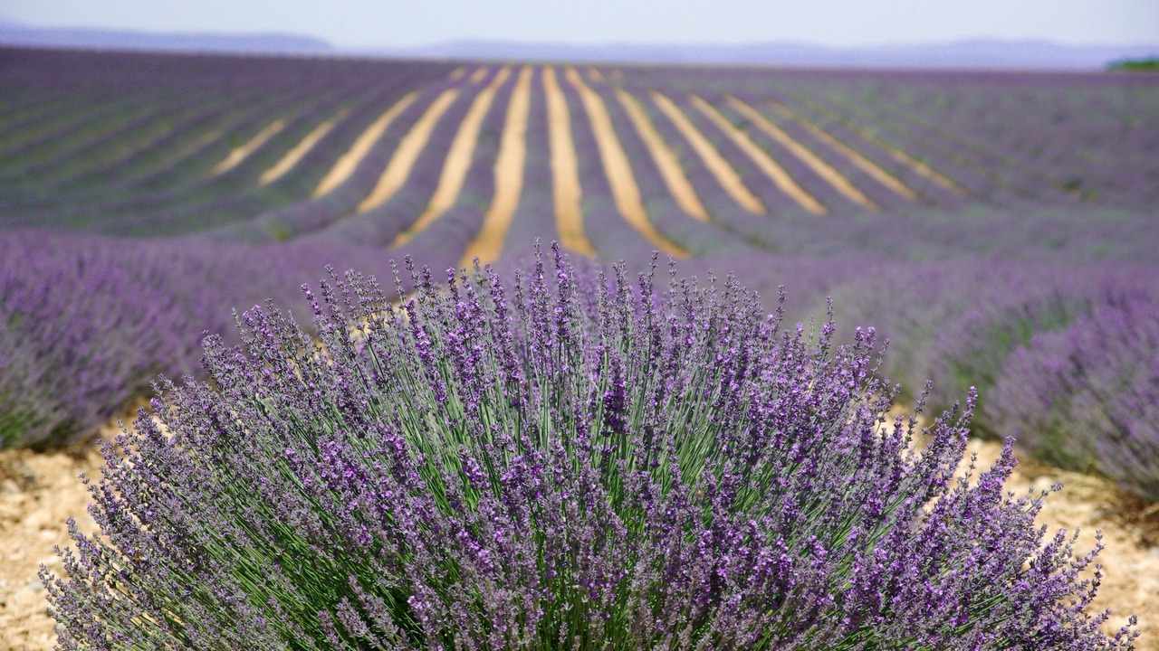Photo of Outdoor in Manosque