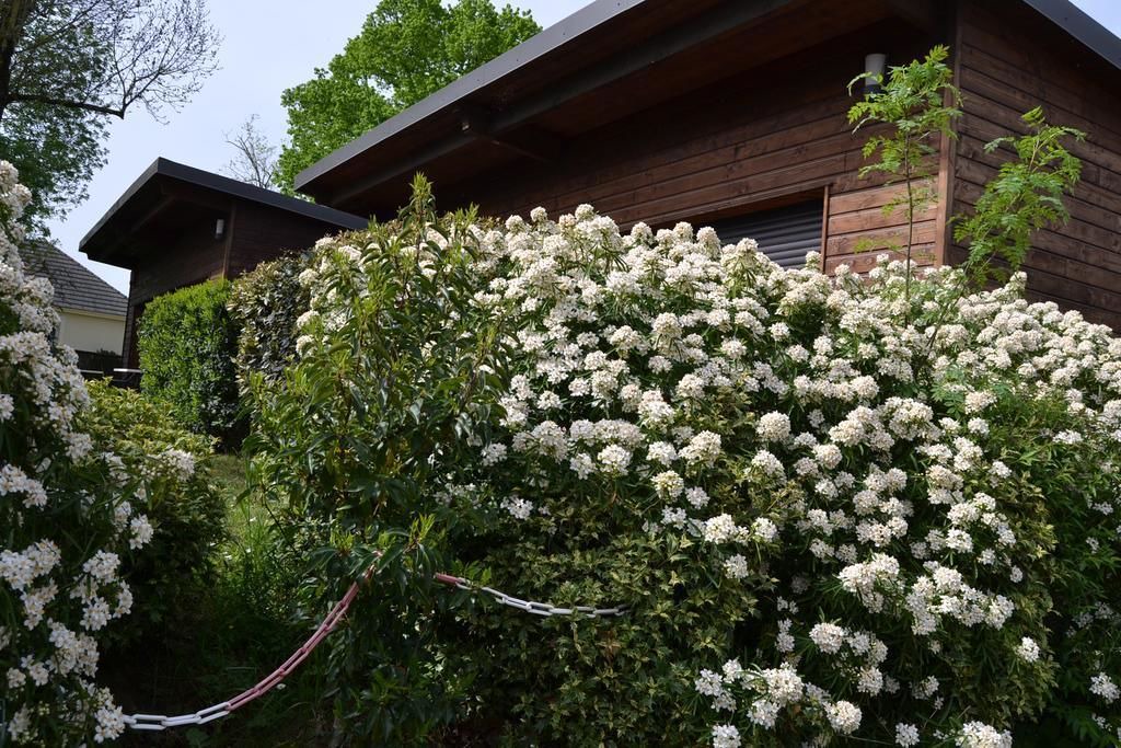 Photo of Outdoor in Parnac