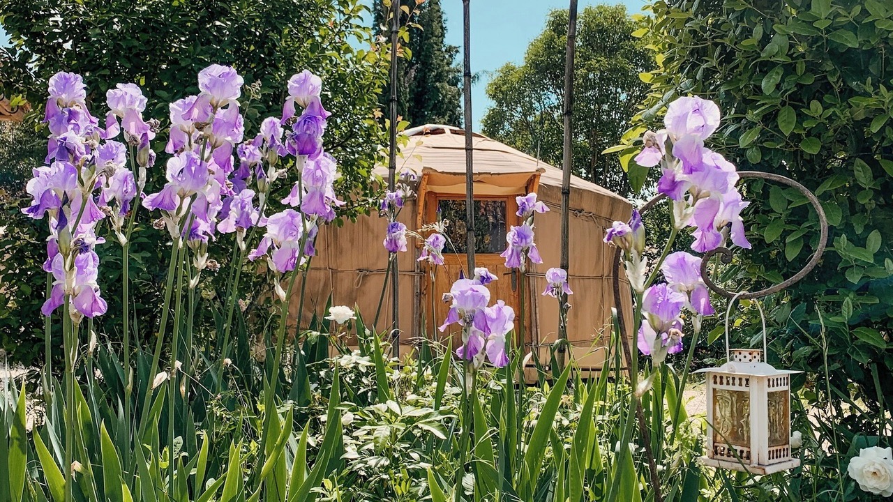 Photo of Outdoor in Barjac