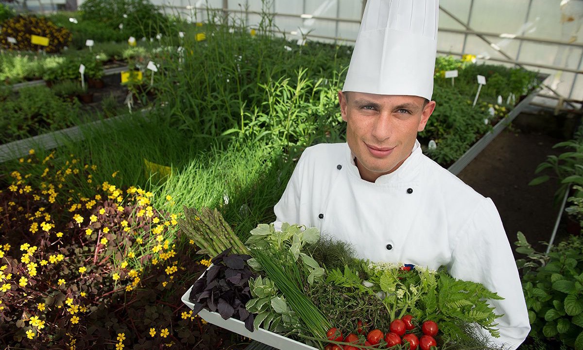 Photo of Others in Logstor