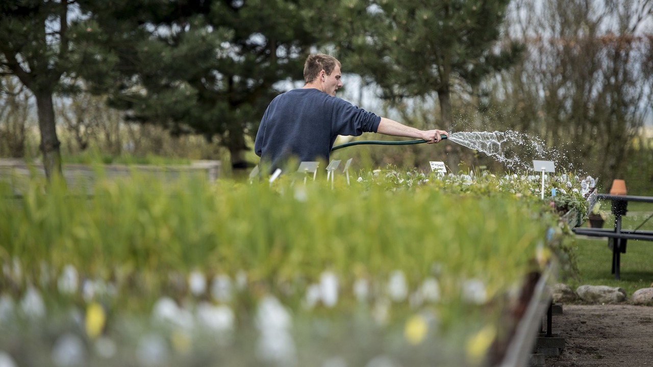 Photo of Outdoor in Logstor