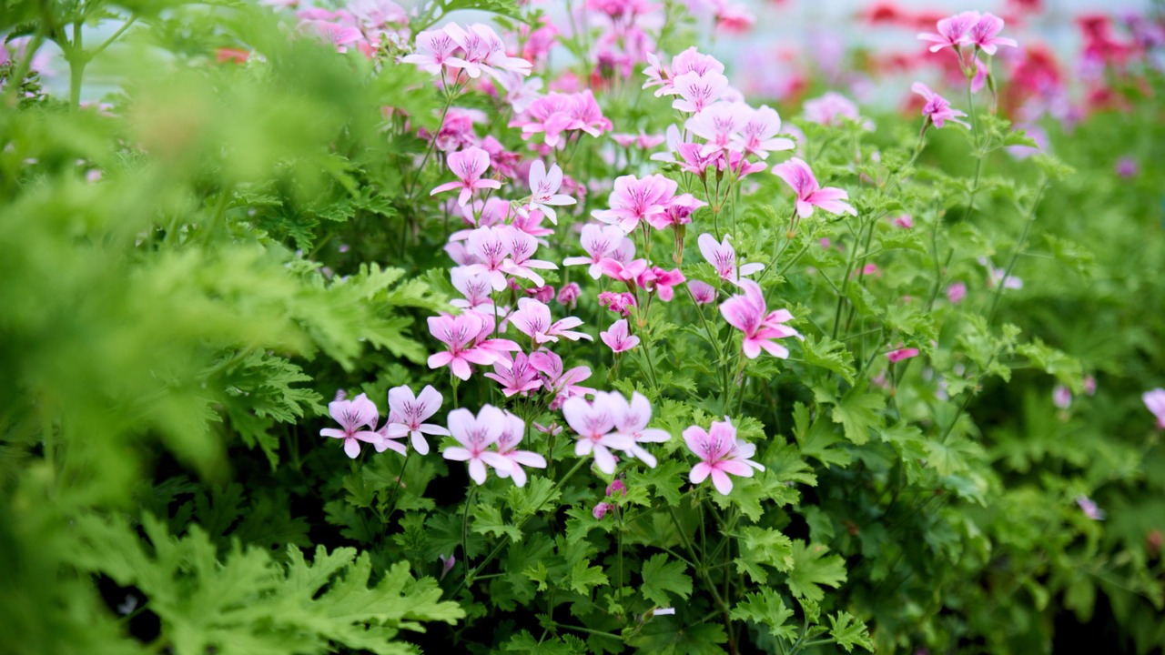 Photo of Outdoor in Logstor