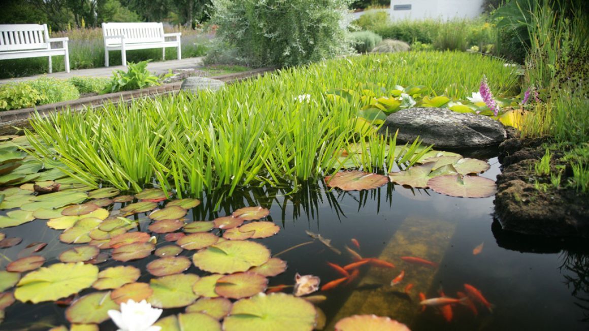 Photo of Outdoor in Logstor