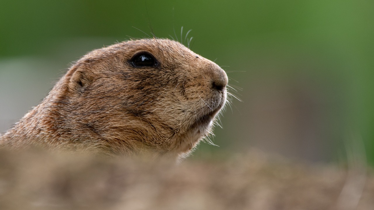 Photo of Outdoor in Lourdes