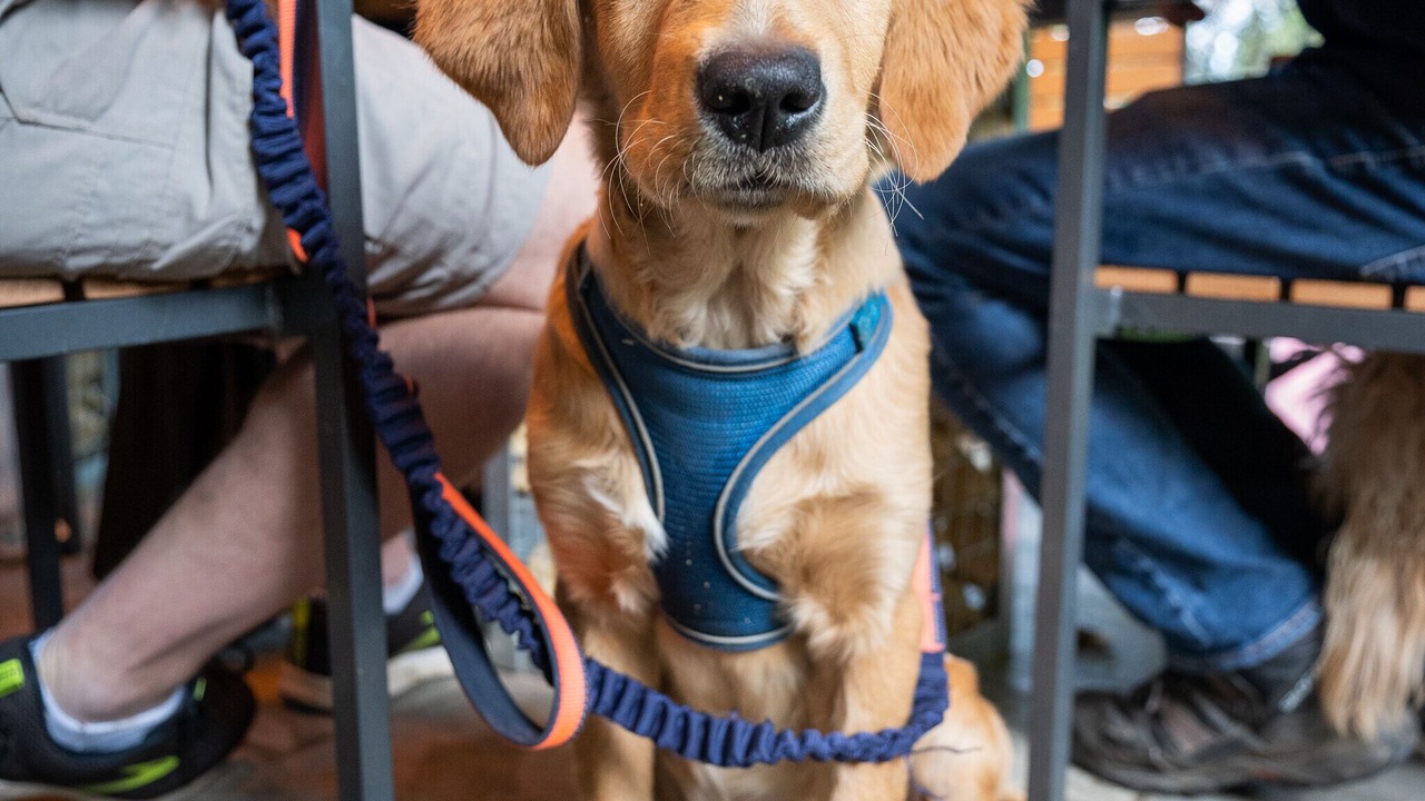 Photo of Patio Balcony in Prestbury