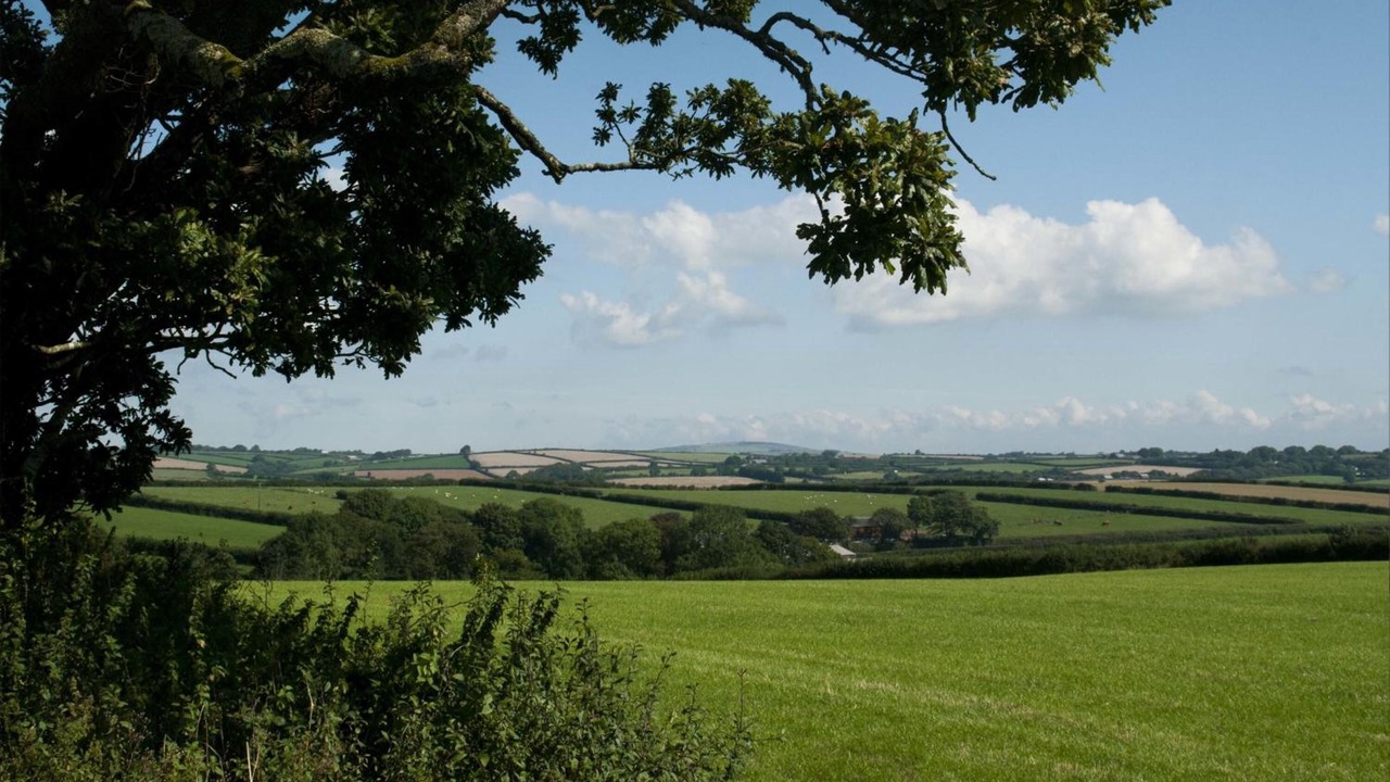 Photo of Outdoor in Liskeard