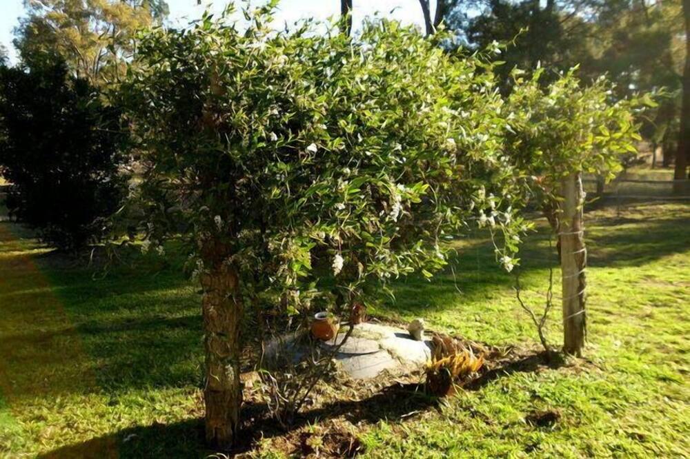 Photo of Outdoor in Ulamambri