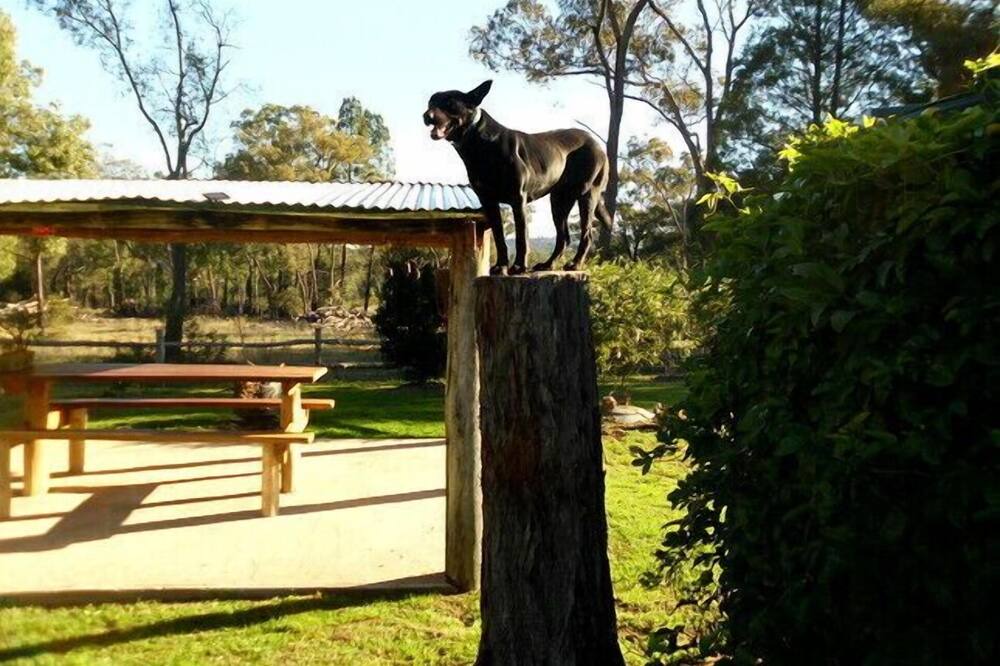 Photo of Outdoor in Ulamambri