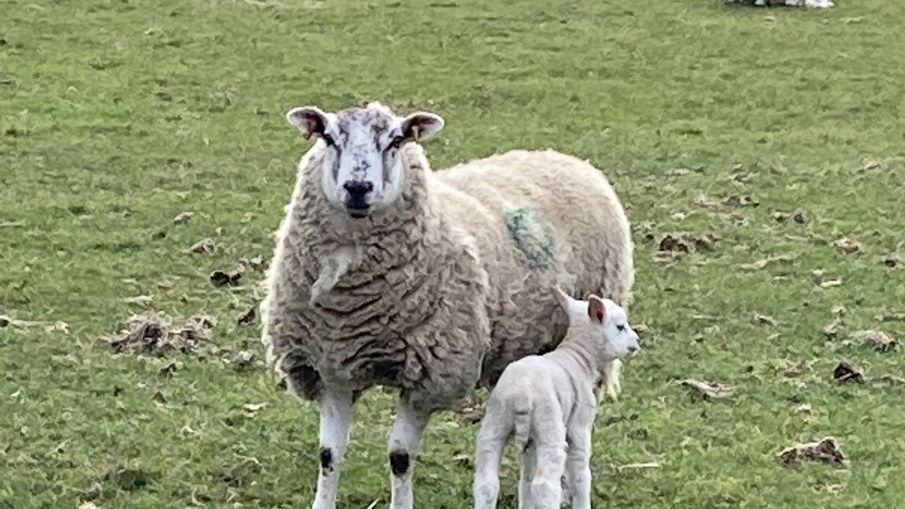 Photo of Outdoor in Askrigg