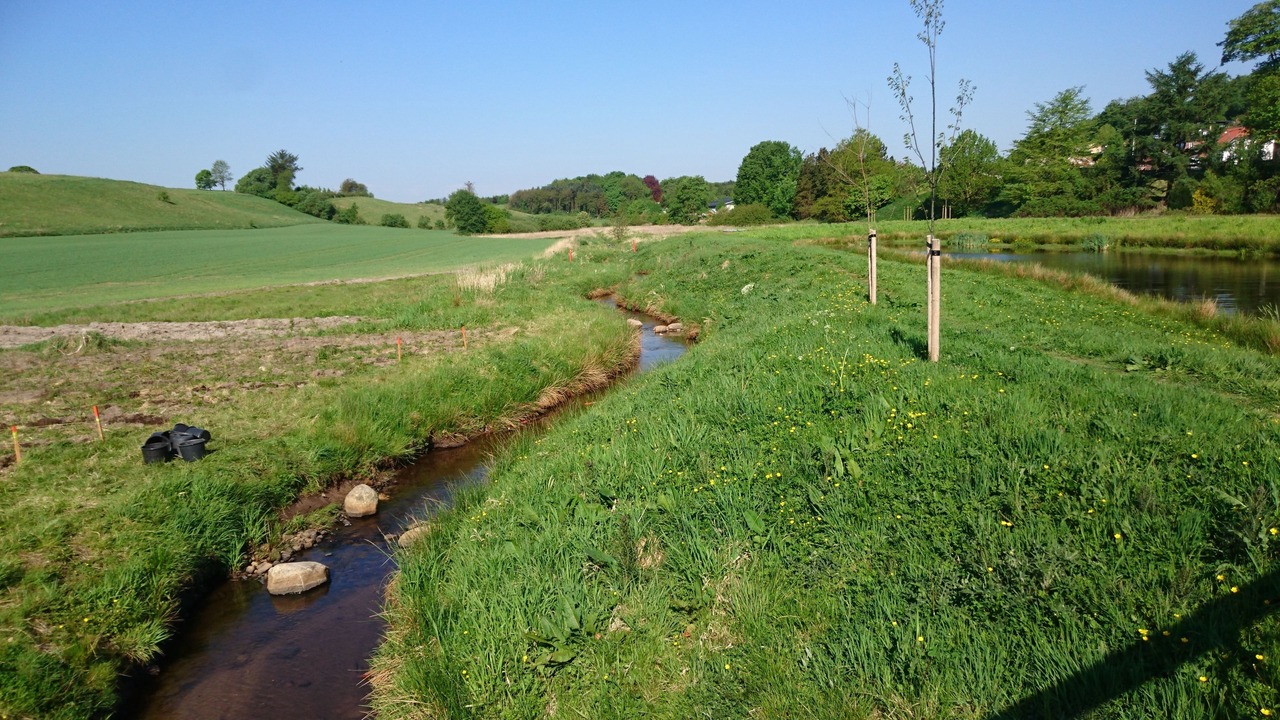 Photo of Outdoor in Egtved