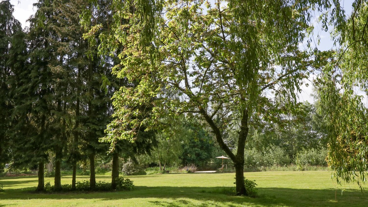 Photo of Others in Brandon