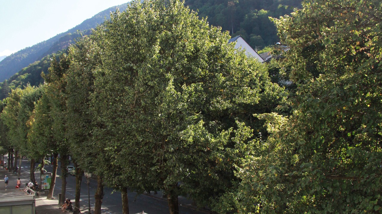 Photo of Outdoor in Bagneres-de-Luchon