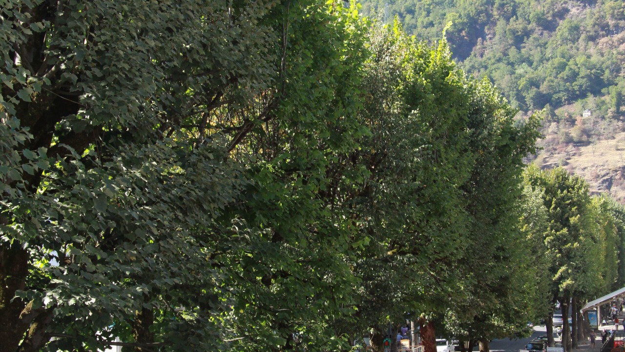 Photo of Outdoor in Bagneres-de-Luchon