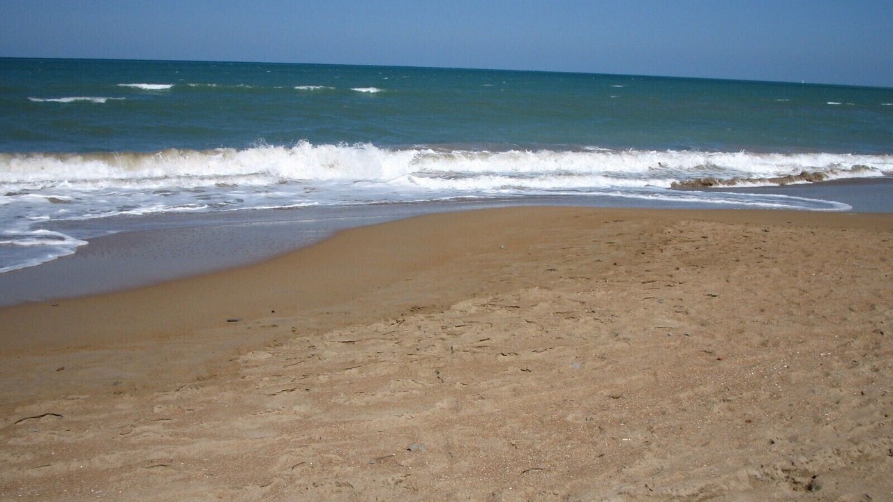 Photo of Others in Almadrava Beach