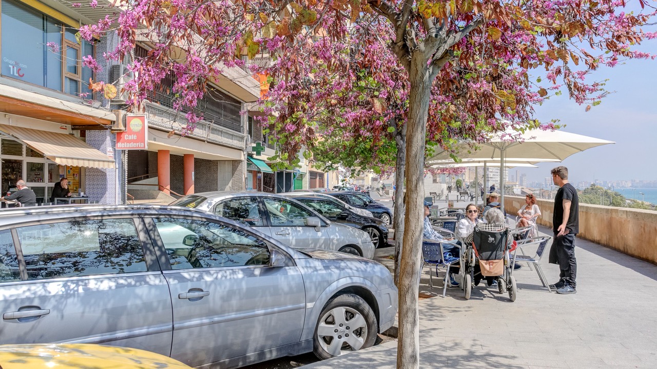 Photo of Outdoor in Raval Roig