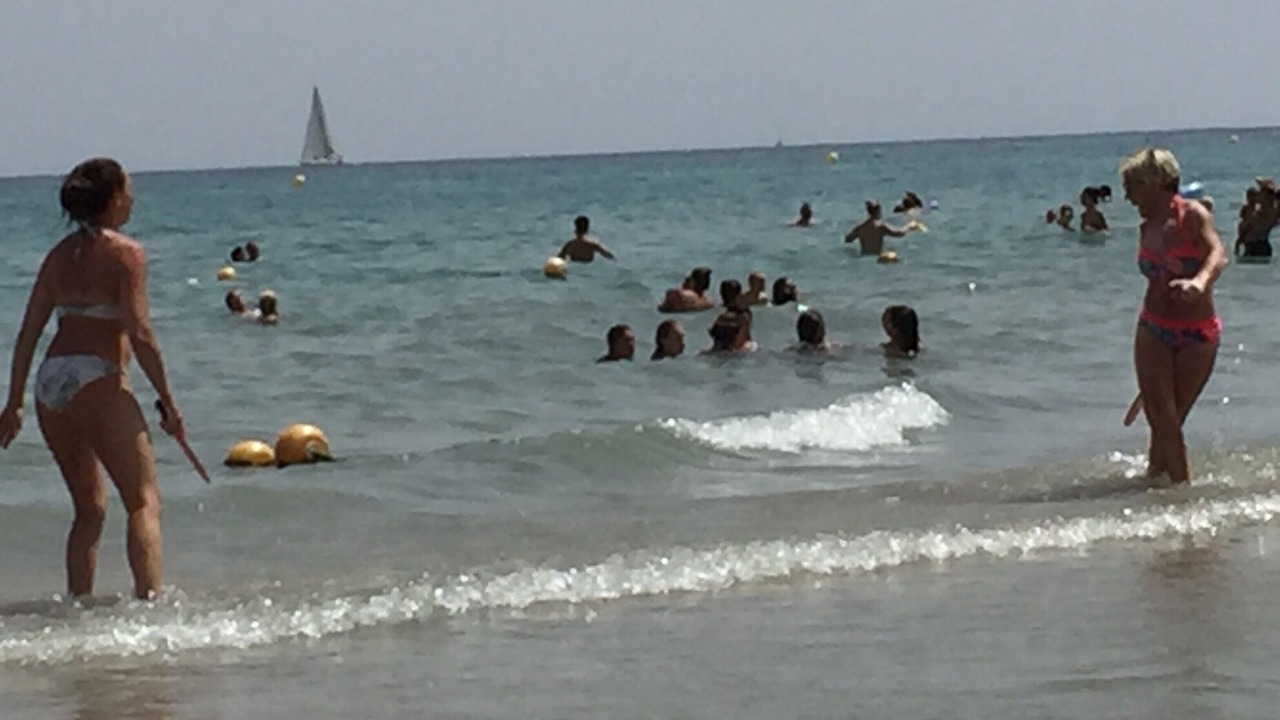 Photo of Others in Raval Roig