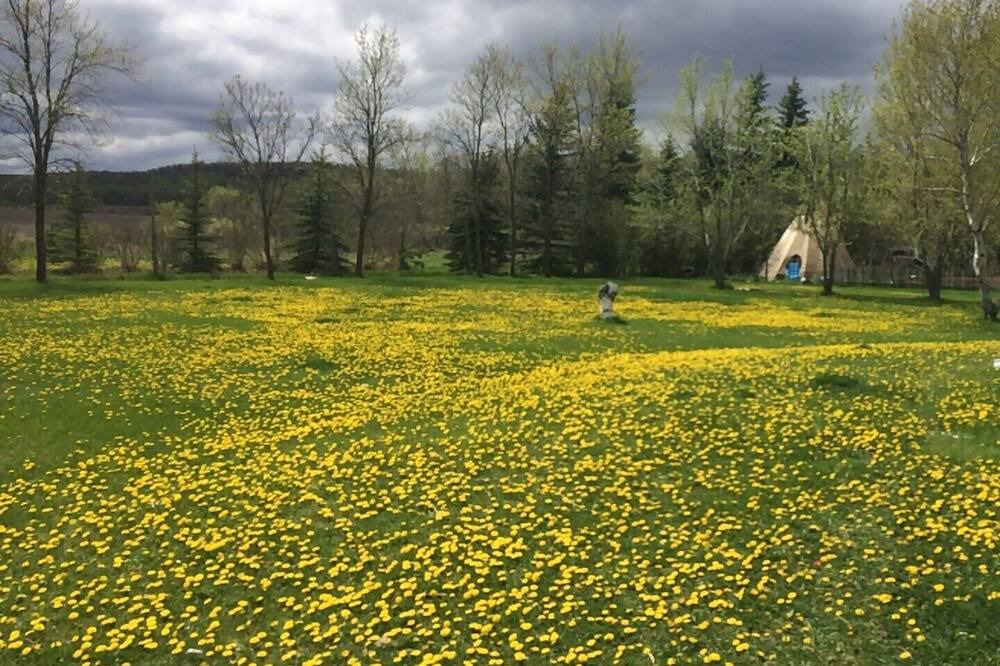 Photo of Outdoor in Stanley